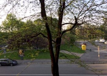 Vista - Trilocale piazza Esquilino, Milano - foto 29