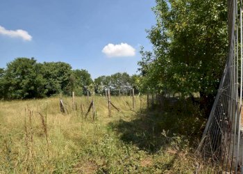 Terreno - Appartamento strada dei Pignolli, 13, Mondovì - foto 32
