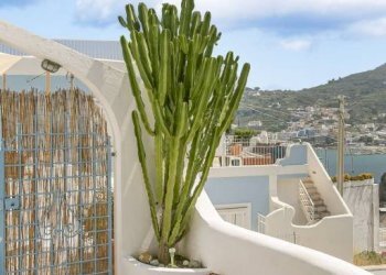 Terrazzo - Quadrilocale via Spiaggia Santa Maria, Ponza - foto 7