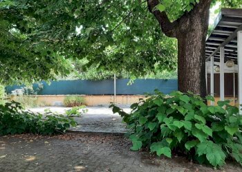 Giardino - Casa indipendente via Moreno, Cartosio - foto 41