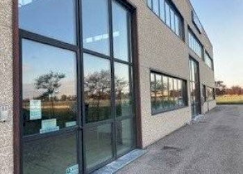 Zona - Capannone via Luigi Menarini, Budrio - foto 2