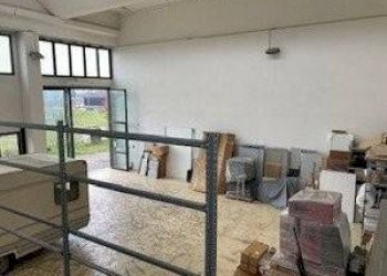 Interno non residenziale - Capannone via Luigi Menarini, Budrio - foto 6