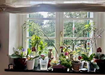 Interno palazzo - Trilocale vico Albertina, 6, Genova (zona Sestri Ponente) - foto 12