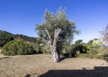 Foto 11 - Villa dell'Istrice, 7, Cefalù - foto 11