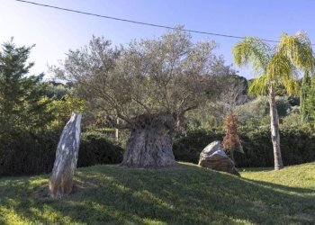 giardino - Villa dell'Istrice, 7, Cefalù - photo 17