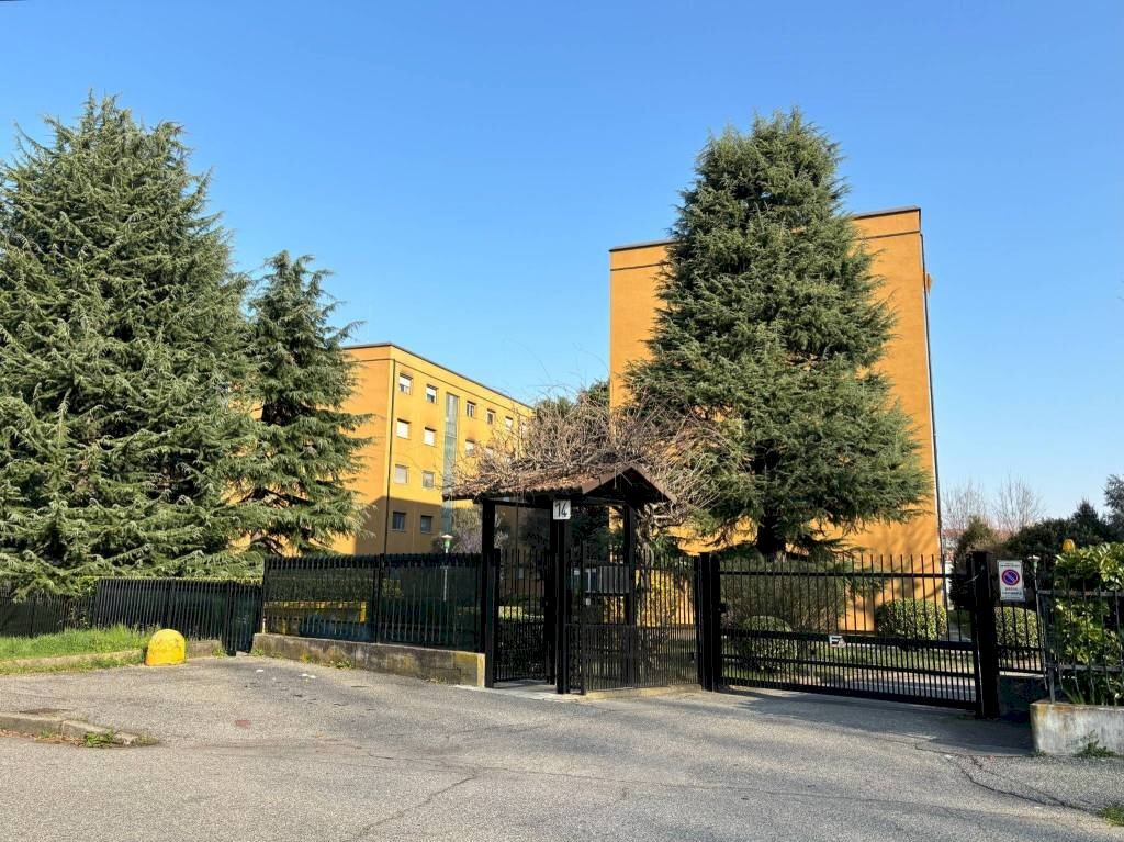 Ingresso - Apartment via Trento, 14, San Mauro Torinese - photo 3