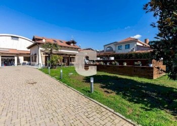 Giardino - Villa via Metastasio, Torino - foto 4