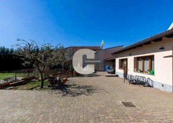 Giardino - Villa via Metastasio, Torino - foto 9