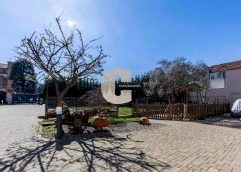 Giardino - Villa via Metastasio, Torino - foto 12