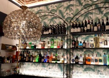 Interno non residenziale - Bar Tavola Calda - Fredda corso Moncalieri, 174, Torino - foto 27