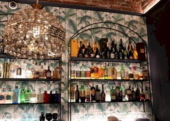 Interno non residenziale - Bar Tavola Calda - Fredda corso Moncalieri, 174, Torino - foto 28