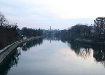 Zona - Bar Tavola Calda - Fredda corso Moncalieri, 174, Torino - foto 33