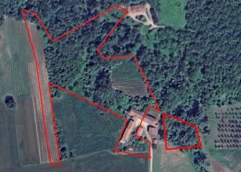 Farmhouse Dogliani - photo 1