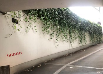 Posto Auto Bologna - foto 6