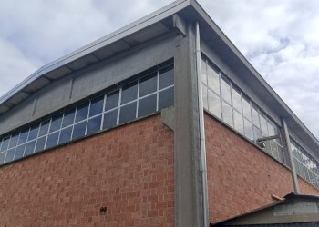 Capannone Reggio nell'Emilia - foto 4