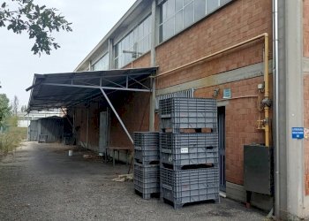 Capannone Reggio nell'Emilia - foto 5