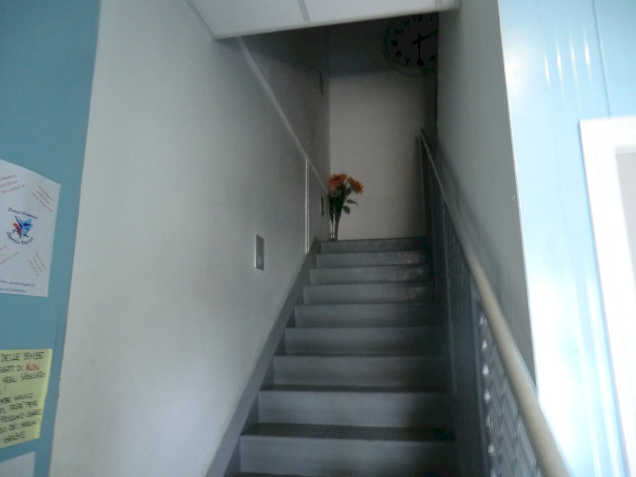 Palestra e Impianti Sportivi Ferrara - foto 3