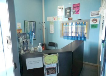 Palestra e Impianti Sportivi Ferrara - foto 1