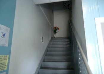 Palestra e Impianti Sportivi Ferrara - foto 3