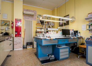 Negozio Ferrara - foto 15