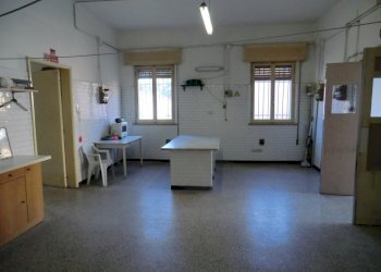 Negozio Ferrara - foto 8