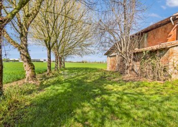 Rustico Massa Lombarda - foto 19