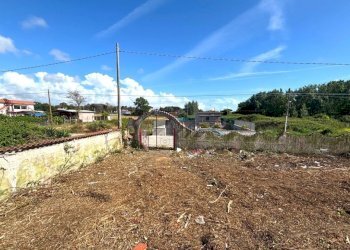 Villa Mondragone - foto 5