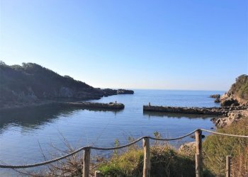 Terreno agricolo Formia - foto 3