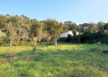 Terreno agricolo Formia - foto 5