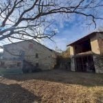 Agricultural land Canelli - photo 2