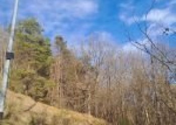 Agricultural land Canelli - photo 29