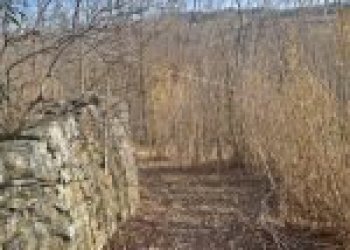 Agricultural land Canelli - photo 35