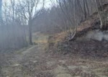 Agricultural land Canelli - photo 38