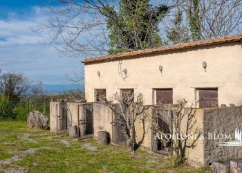 Casale di spineto, snc, Sarteano - foto 22