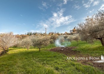 Casale di spineto, snc, Sarteano - foto 25