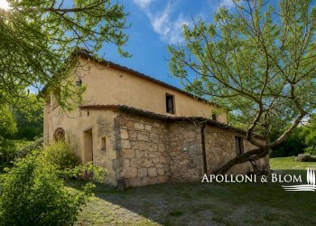 Casale di spineto, snc, Sarteano - foto 15