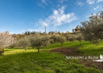Casale di spineto, snc, Sarteano - foto 25