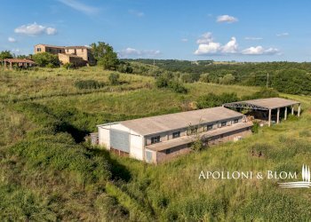 Rustico Castel Nuovo Grilli, snc, Asciano - foto 24