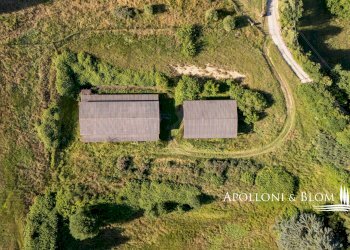 Rustico Castel Nuovo Grilli, snc, Asciano - foto 25