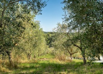 Rustico Castel Nuovo Grilli, snc, Asciano - foto 26