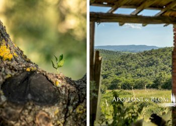 Rustico Castel Nuovo Grilli, snc, Asciano - foto 27