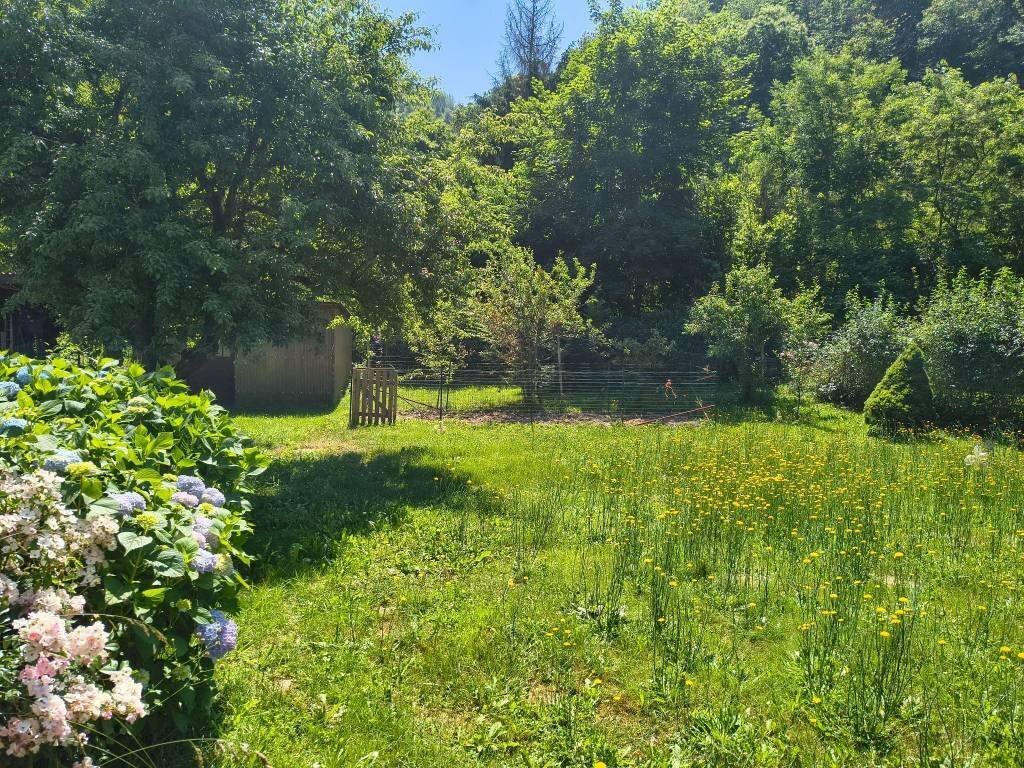 Giardino - Independent house Borgo San Dalmazzo - photo 3