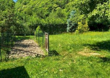 Giardino - Independent house Borgo San Dalmazzo - photo 18