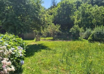 Giardino - Casa indipendente Borgo San Dalmazzo - foto 3