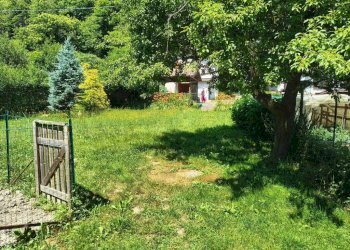 Giardino - Casa indipendente Borgo San Dalmazzo - foto 4