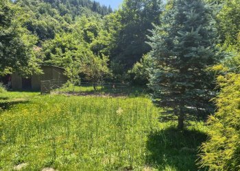 Terreno - Casa indipendente Borgo San Dalmazzo - foto 6