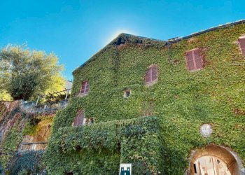 Giardino - Trilocale via Duca degli Abruzzi, 23, Compiano - foto 3