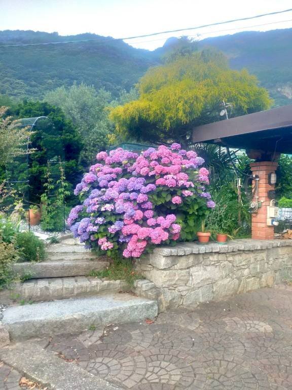 Vista - Apartment Quincinetto - photo 3