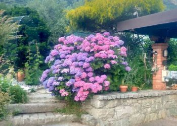 Vista - Apartment Quincinetto - photo 3