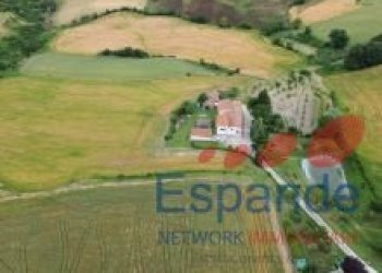 Casa indipendente Meldola - foto 4